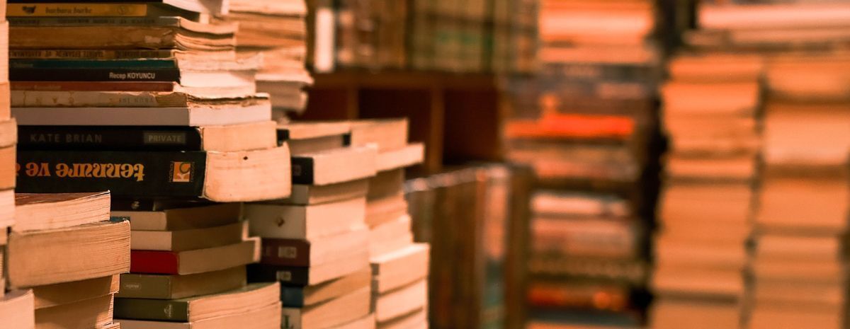 Read Like a Writer with Bestselling Author Laura Castoro